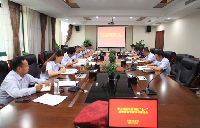 集团党委中心组专题学习研讨习近平总书记“七一”重要讲话精神