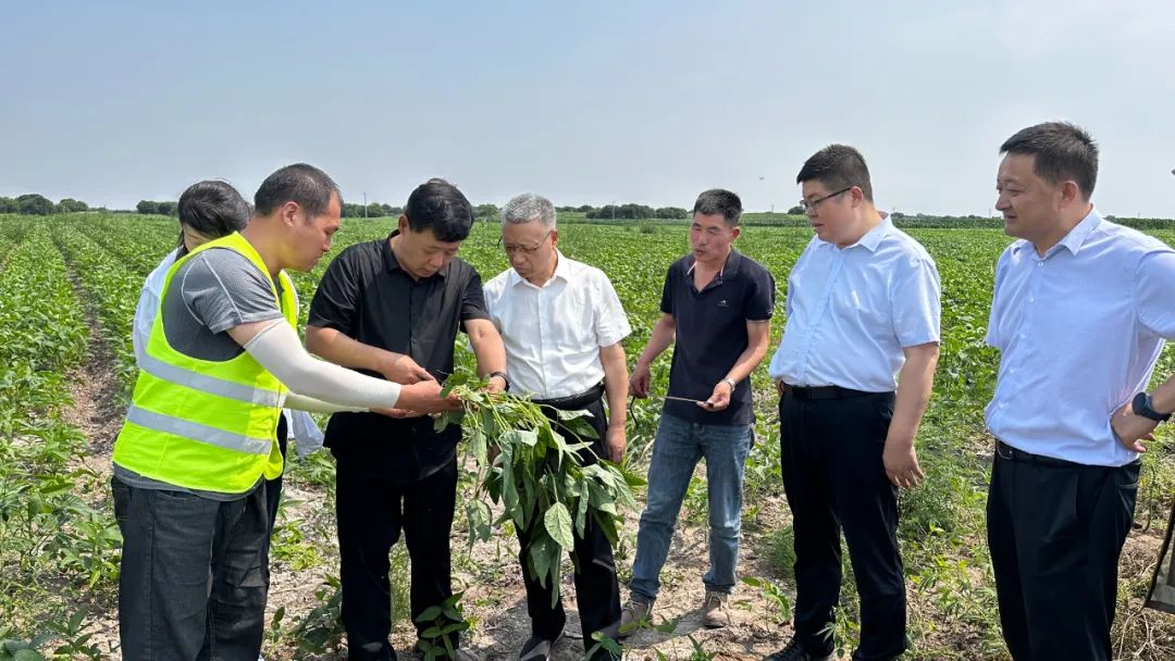 刘利民赴兴安盟公司调研慰问